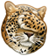:wwf1: